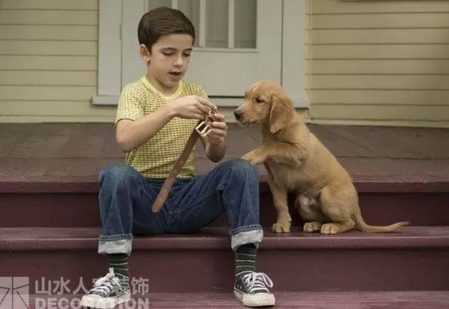 看電影.學(xué)裝修：因為有你，所以有意義