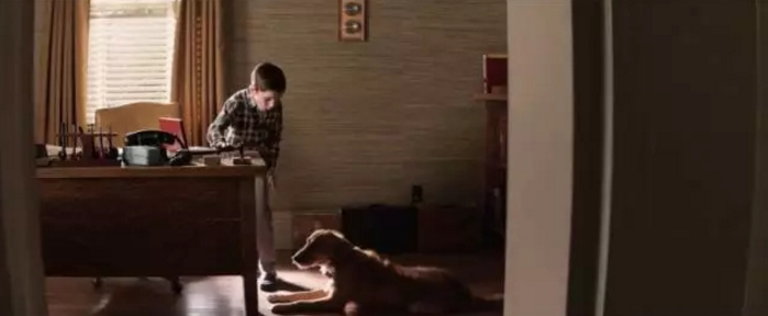 看電影.學(xué)裝修：因為有你，所以有意義