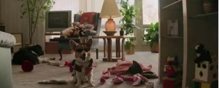 看電影.學(xué)裝修：因為有你，所以有意義