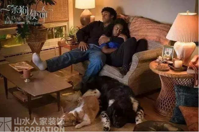 看電影.學(xué)裝修：因為有你，所以有意義