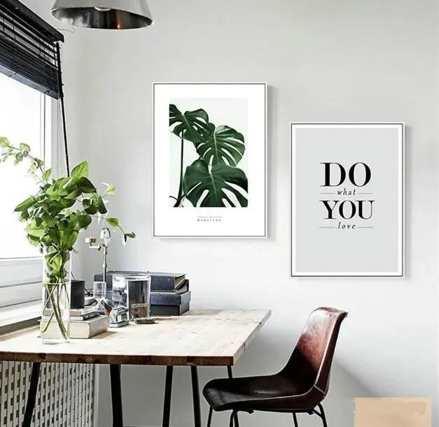 家居綠植什么最好 家居綠植什么最好