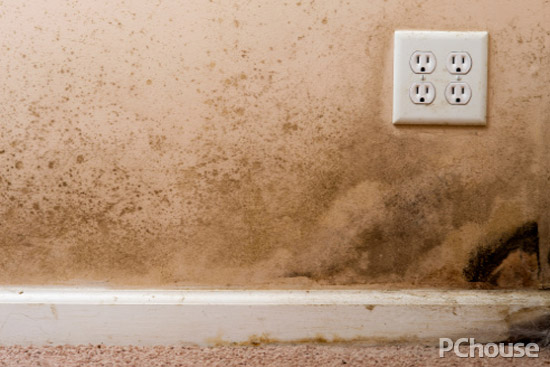 雨水多易發(fā)霉？這些生活妙招不得不知