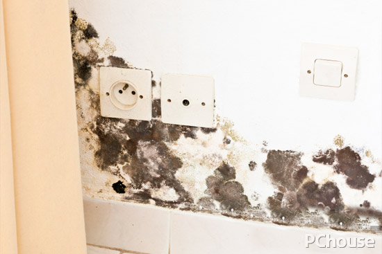雨水多易發(fā)霉？這些生活妙招不得不知
