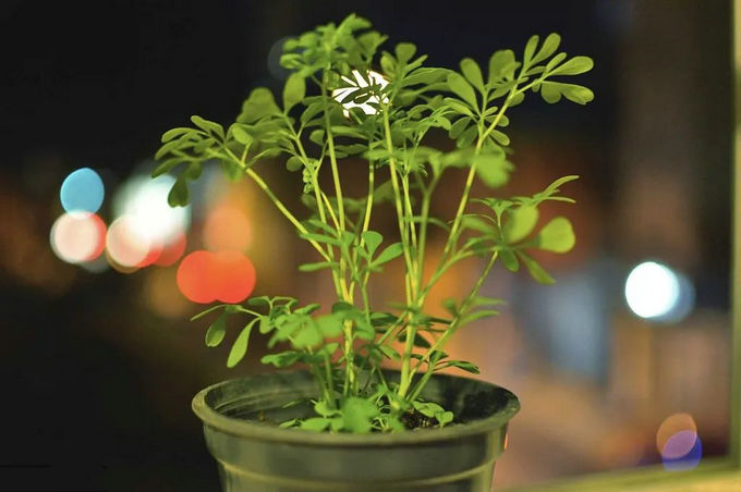 裝修要注意哪些風水問題 裝修要注意哪些風水問題